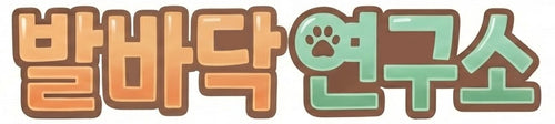 발바닥연구소